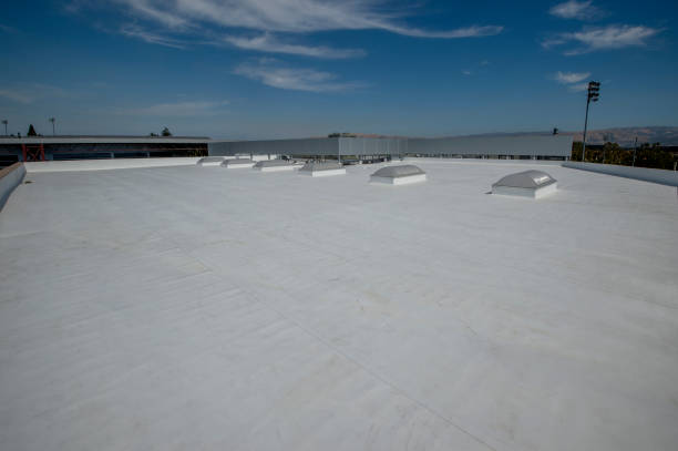 Best Chimney Flashing Repair  in Salisbury, MD