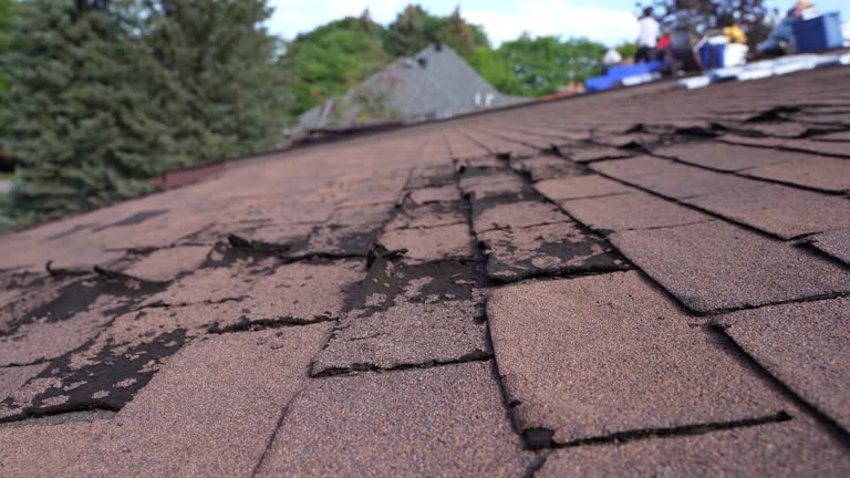 Best Roof Coating Services  in Salisbury, MD