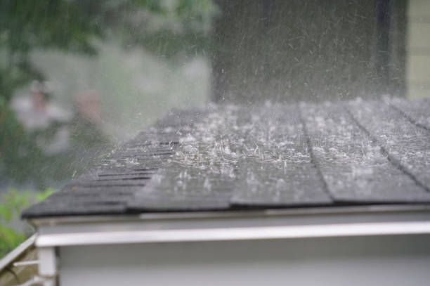 Fast & Reliable Emergency Roof Repairs in Salisbury, MD